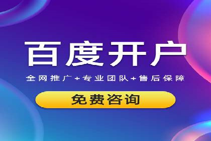 成功案例解析：SEM竞价员策略